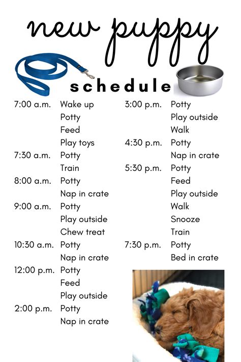 Daily Routine Printable Puppy Schedule